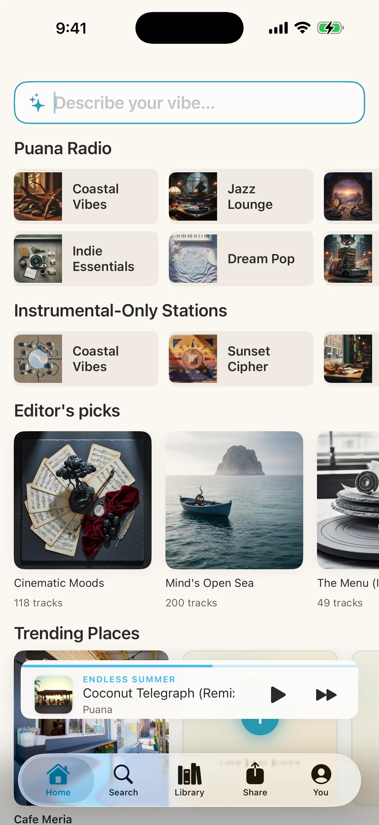 Puana app interface